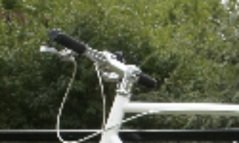 GT (Training resolution)